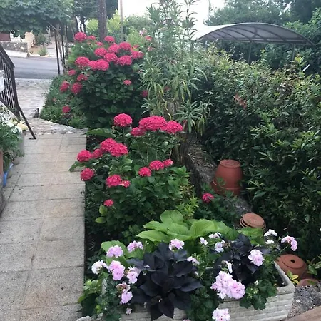 Apartament Casa Hortensia