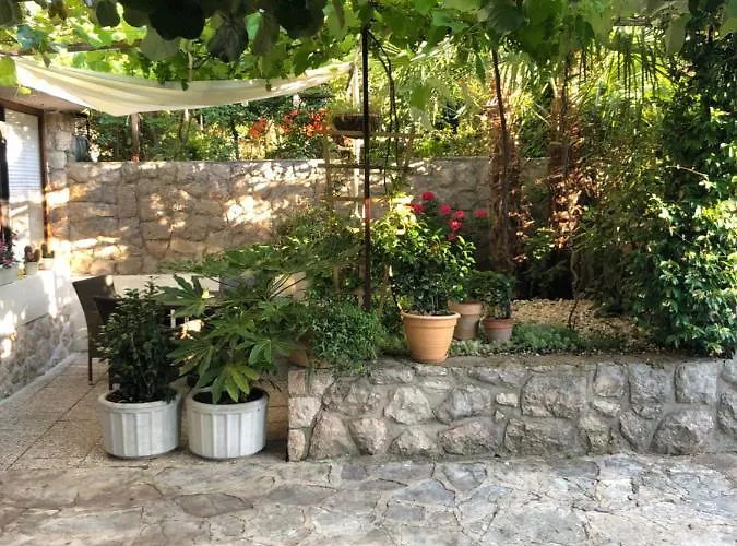 Casa Hortensia נייביצה