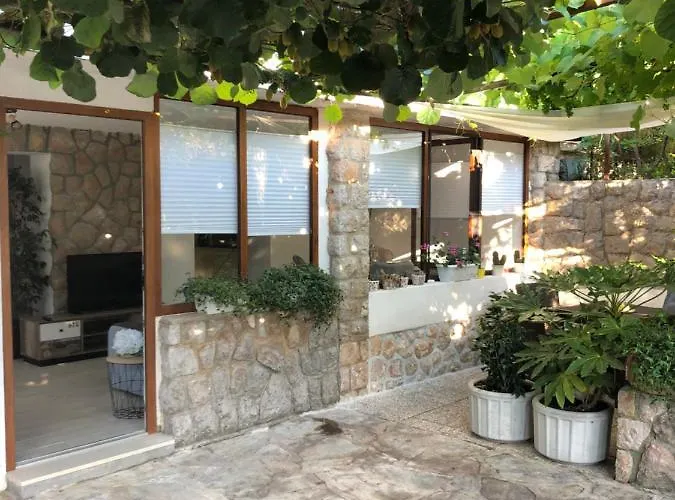 Casa Hortensia *