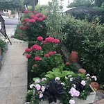 דירה Casa Hortensia